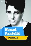 poezija nenad pantelić 