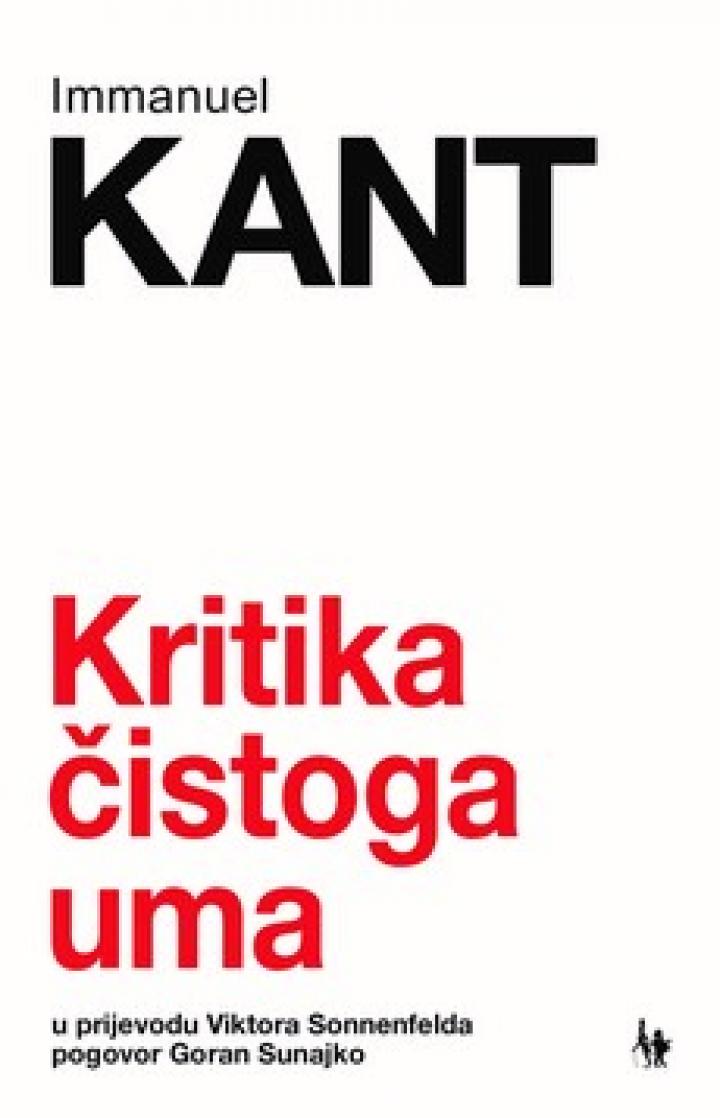 kritika čistoga uma 
