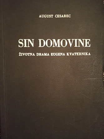 Sin domovine