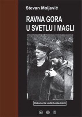 Ravna Gora u svetlu i magli